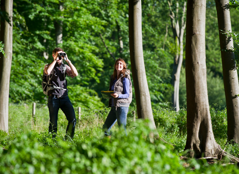 Wildlife Walks - Matthew Roberts